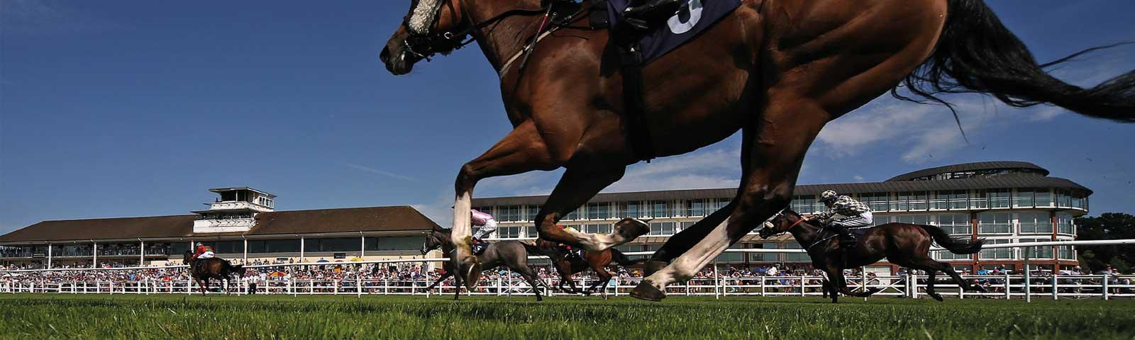 Horse Racing Venues London