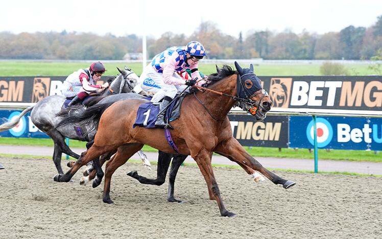 Hitched wins at Lingfield Park Racecourse in November