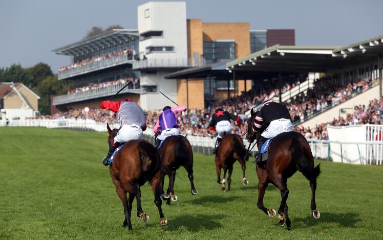 Fontwell Park Racecourse